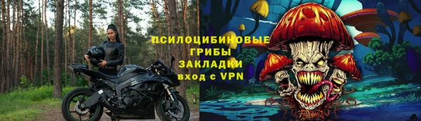 ECSTASY Грязовец