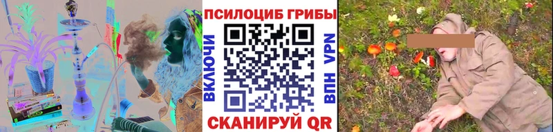 наркошоп  Карабулак  Галлюциногенные грибы Cubensis 